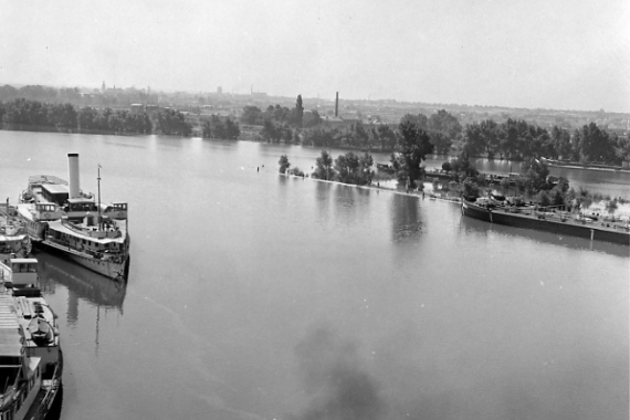 1954 flood 12. Juli © Hafen Wien